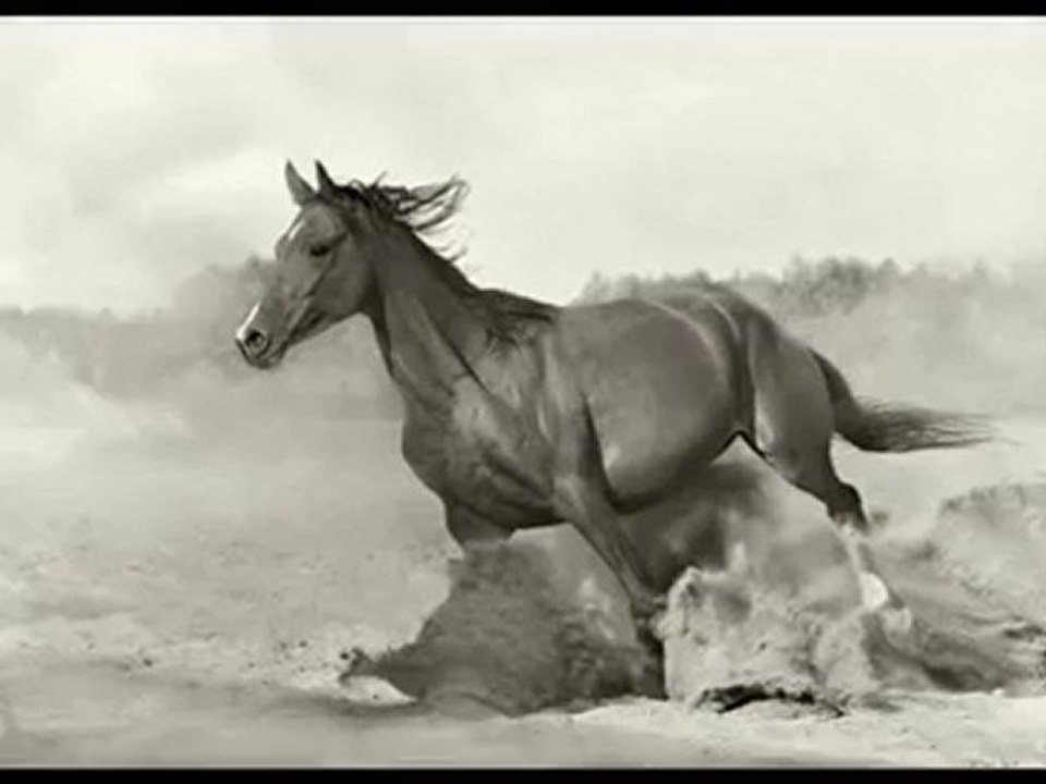 Anladım talha bora öge