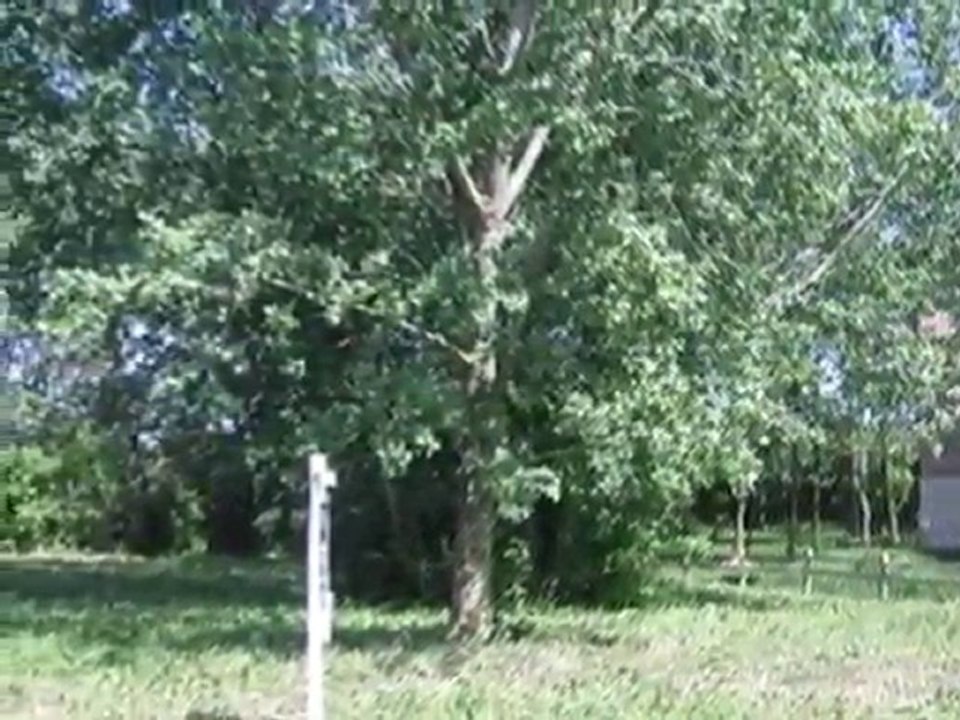 Homes for Sale - 12 Normandee Ct - Burr Ridge, IL 60527 - Co