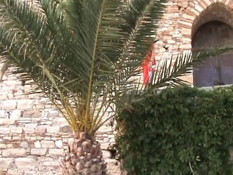 Kuşadası Doğa Ve Ada - Kuşadası Nature And Islands