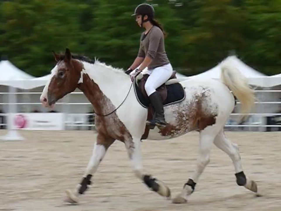 Léa Malcom La cense 80cm corde