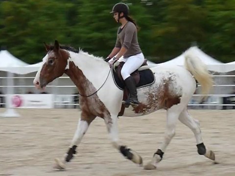 Léa Malcom La cense 80cm corde