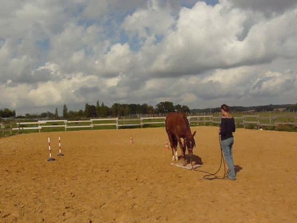 Séance à pied_ 12 septembre  2010 (Partie 2)