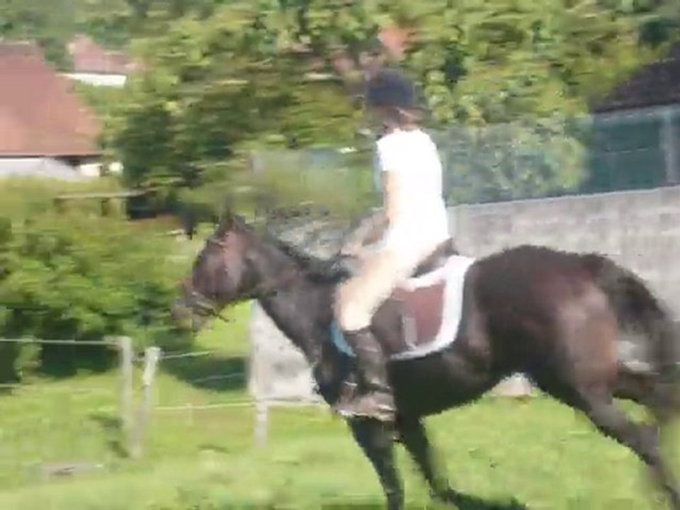 Entrainement cross