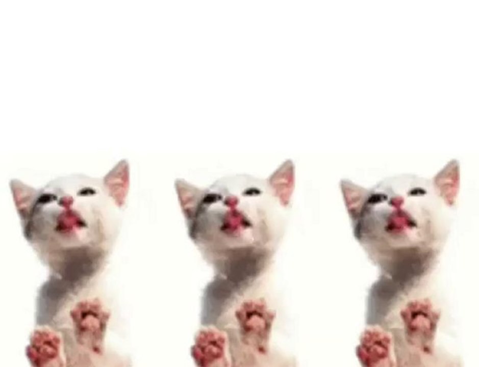 Videoclip composto da gif animate