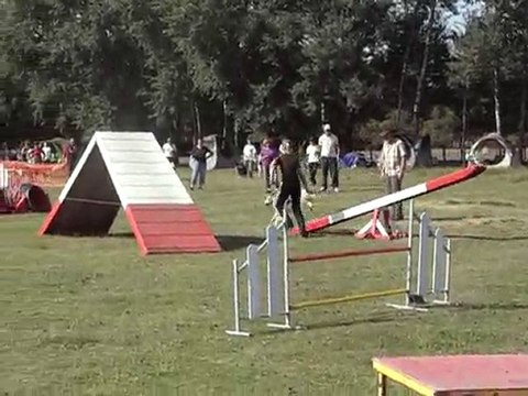 swanny 2 degré cdf australiens