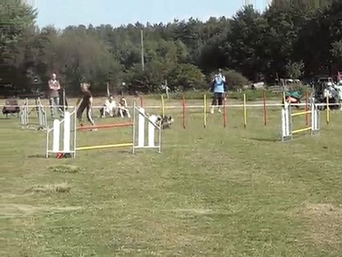 swanny jump cdf australiens