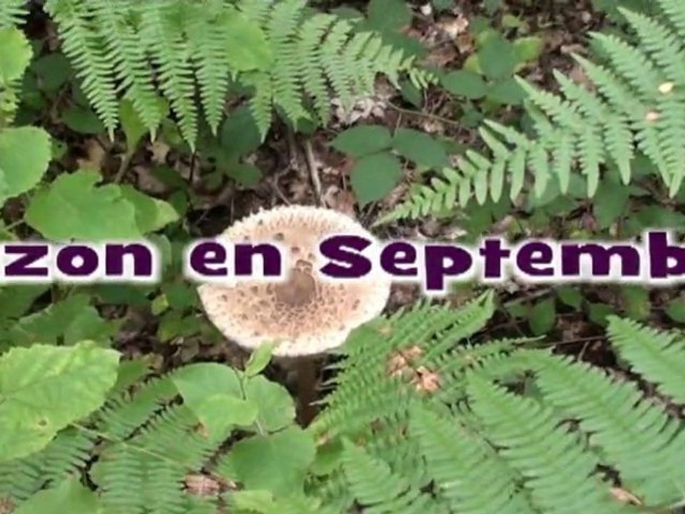 En Brousse....