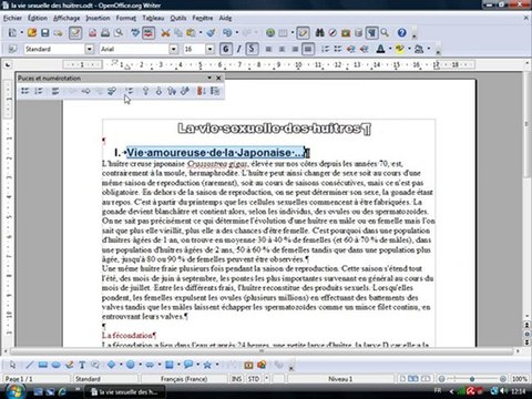 Traitement Texte 2.2 Numérotation automatique