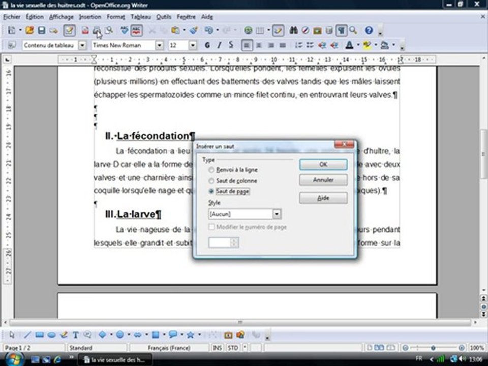 Traitement Texte 2.6 "Le saut de page"