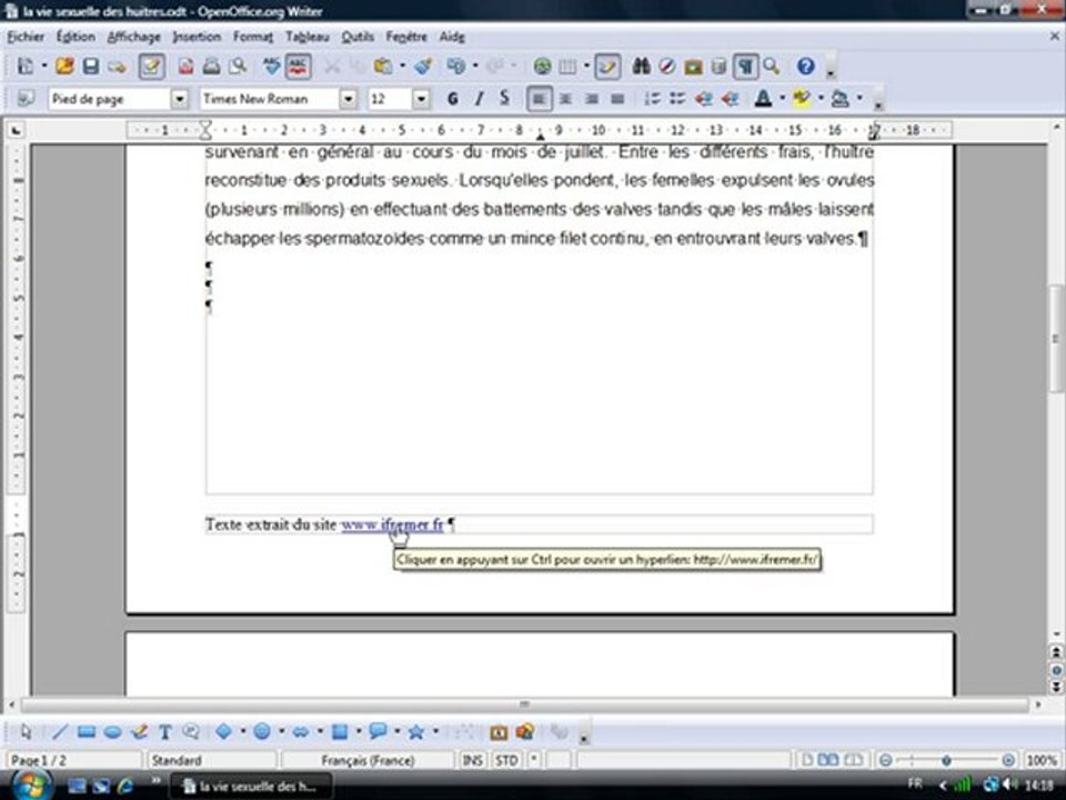 Traitement Texte 2.7 "En-tête, Pied de page et aperçu"