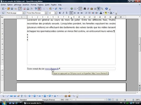 Traitement Texte 2.7 En-tête, Pied de page et aperçu