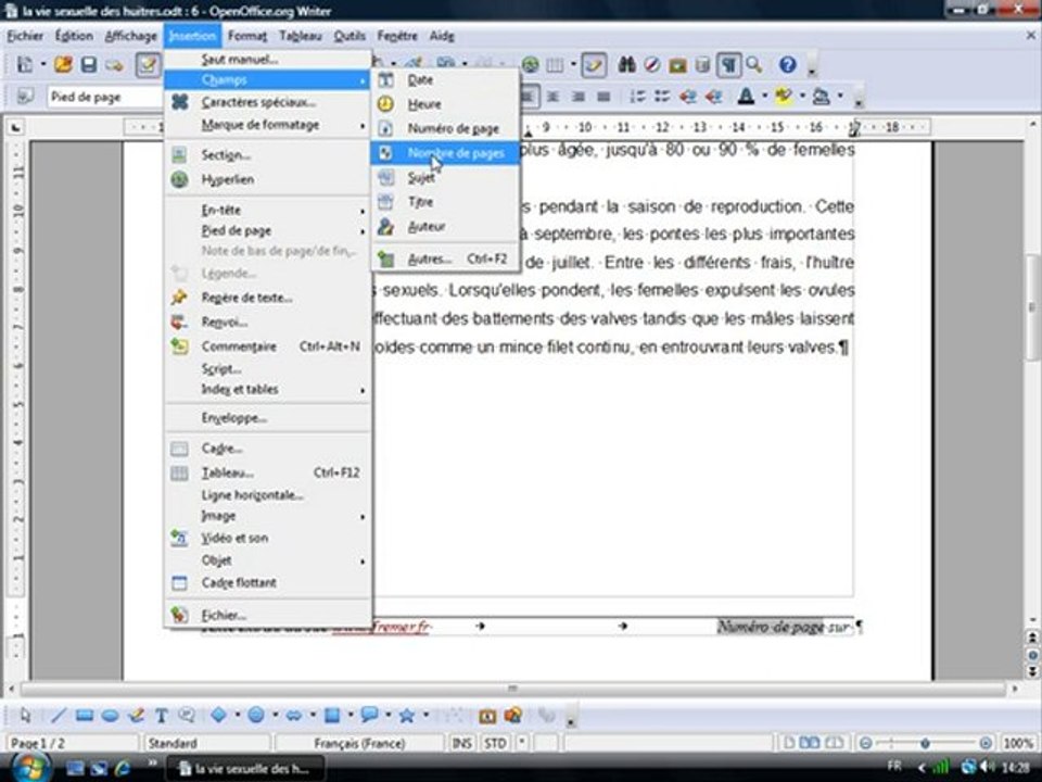 Traitement Texte 2.8 "Numérotation des pages"