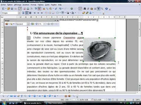 Traitement Texte 2.10 Insérer des images