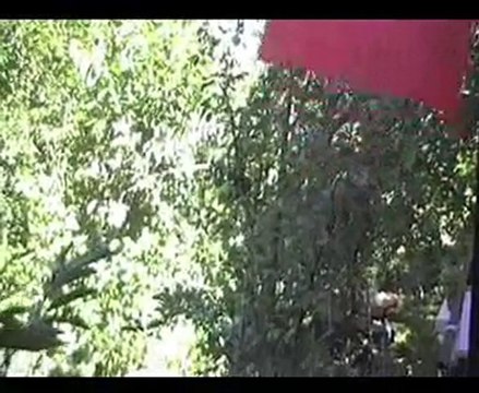 ramazan bayramı derekapı köyü 2010