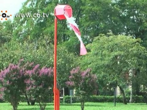 Il verde a Milano: gli alberi del San Carlo abbattuti