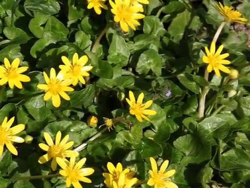 Tais-toi et ouvre tes oreilles