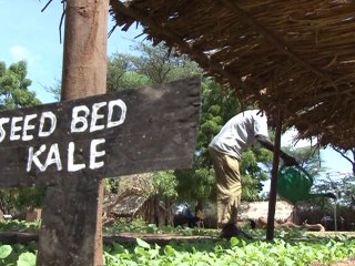 Kenyan refugee camp turns to green solutions
