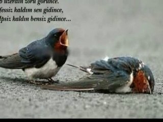 Çekil Git - Matem İltuş