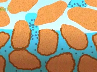 Safe Storage - Closing the carbon loop