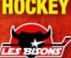 Les Bisons - Saison 2010/2011