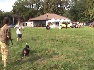 Rencontre un coeur sous l'oreille 29-08-2010 3éme partie