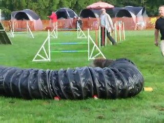 Freezby open R.C charleville 120910