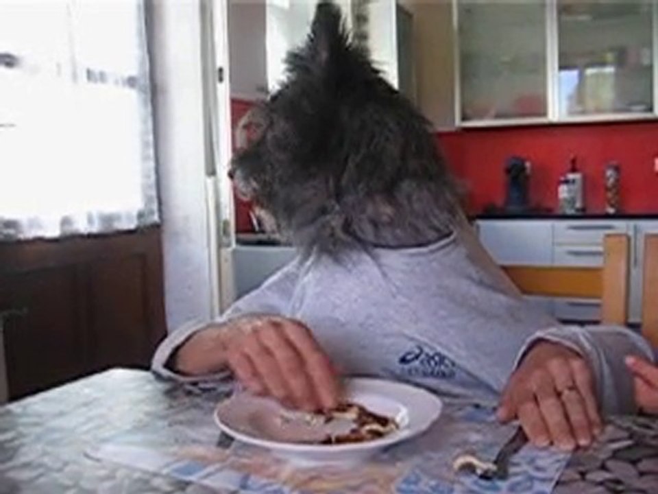 benji mange a table