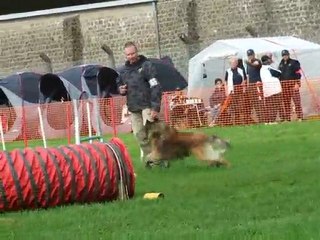 Freezby jumping charleville 120910