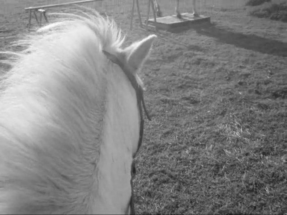 Anne-Louise & Hirondelle, Mégane & Népal ♥