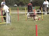 betty jump cdf australiens