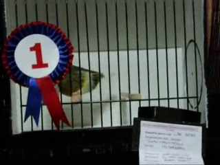 Balıkesir | Ahraç Kabak 1