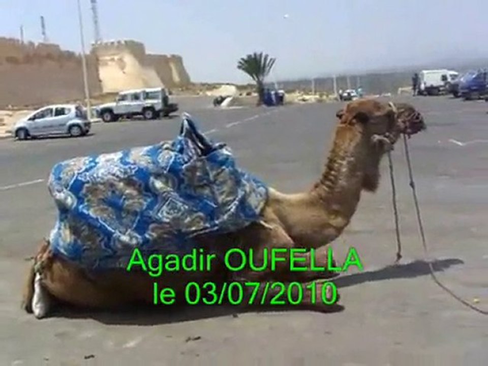 agadir oufella le 03/07/2010