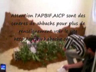 AHBACHE INVOQUE LA TOMBE DU GOUROU!