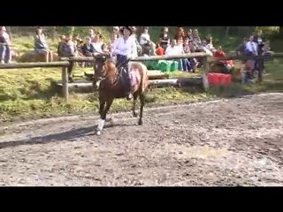 Lancelot Fête du cheval 2010