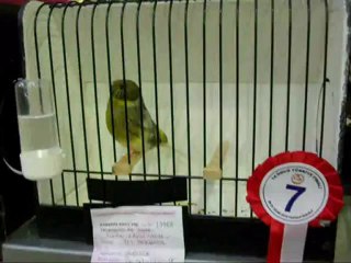 TÜRKİYE FİNAL | AHRAC TEPELİ 7