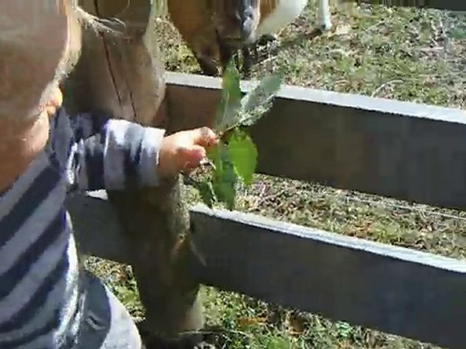 La biquette de Philemon
