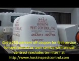 Lawn Pest Control in Venice Florida by Hoskins Pest Control