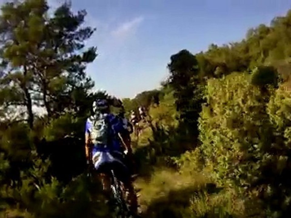 SORTIE VTT DES RIDERS