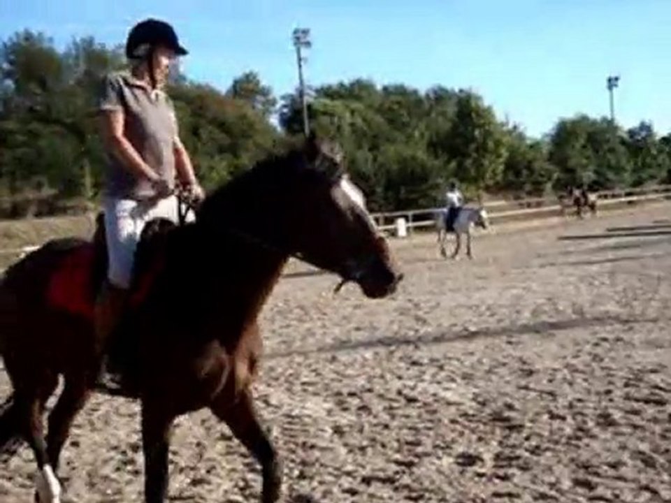 un cours d'équitation au domaine de combelles !!!