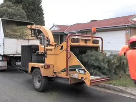 Tree Felling Mulgrave Just Mulching VIC
