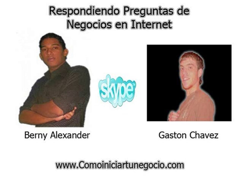 Negocios en Internet: Consulta Gastón Chávez 1