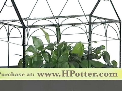 Terrariums - The New Wardian Case Terrarium From H. Potter