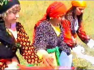 Salih dilovan (Evdo)