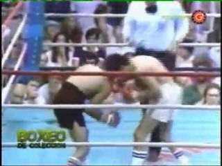 BOXEO COLECCION S.V. PALMA 03