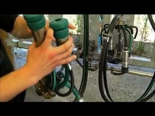 Interview Damien griffe IQ GEA