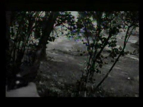 Le tigre aime la chair fraîche - Claude Chabrol - 1964