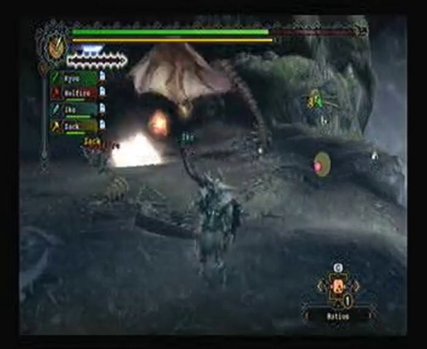 Dream Team sur Monster Hunter Tri: Helfire, Zack, Ike, Kyou