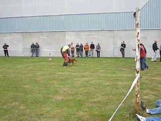 Sélection Niveau III Plouisy 2010