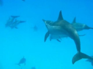 tranquilles et près