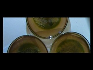 MYSTÈRE DE LA GOUTE ÉLUCIDÉ